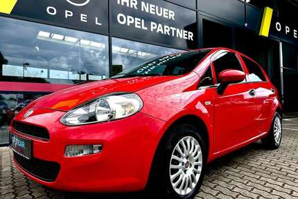 Fiat Punto Gebrauchtwagen
