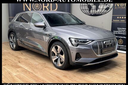 Audi e-tron Gebrauchtwagen