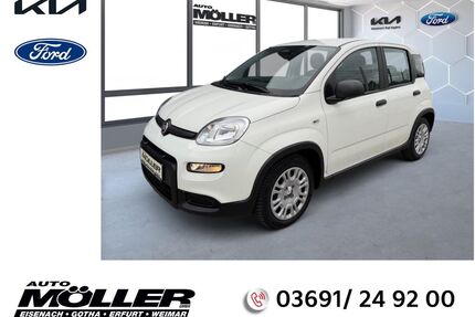 Fiat Panda Gebrauchtwagen