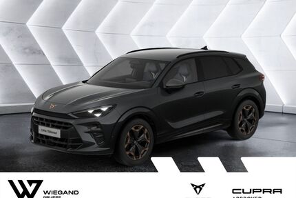 Cupra Terramar Gebrauchtwagen