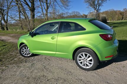 Seat Ibiza Gebrauchtwagen