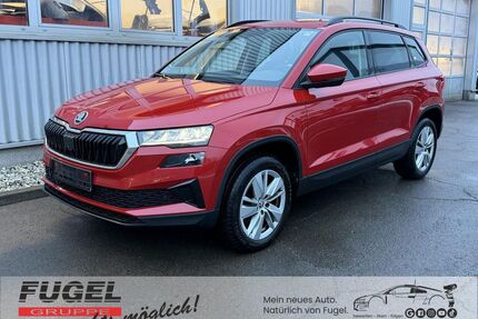 Skoda Karoq Gebrauchtwagen
