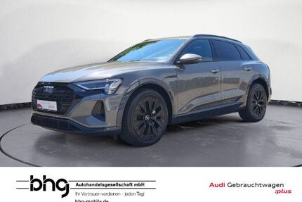 Audi Q8 e-tron Gebrauchtwagen