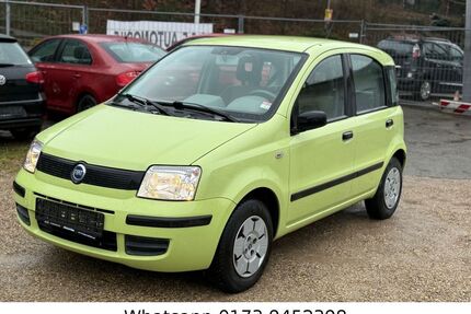 Fiat Panda Gebrauchtwagen