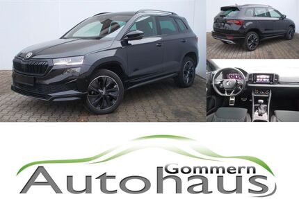 Skoda Karoq Gebrauchtwagen