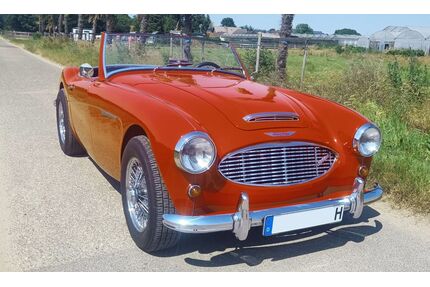 Austin Healey Andere Gebrauchtwagen