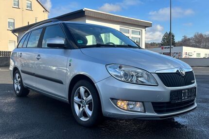 Skoda Fabia Gebrauchtwagen