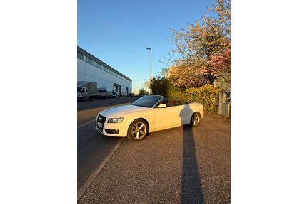 Audi A5 Gebrauchtwagen