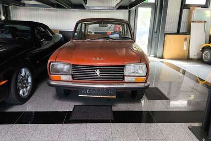 Peugeot 304 Gebrauchtwagen