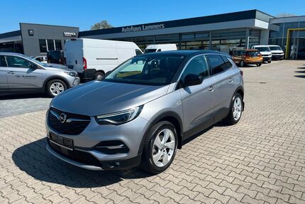 Opel Grandland (X) Gebrauchtwagen