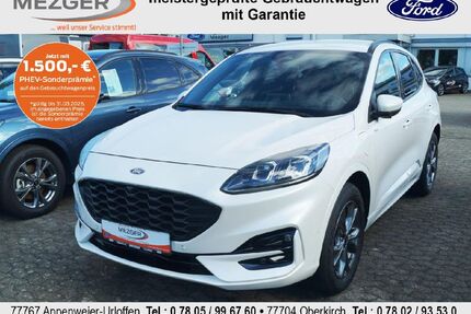 Ford Kuga Gebrauchtwagen