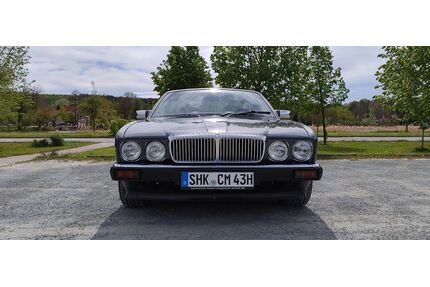 Jaguar Daimler Gebrauchtwagen