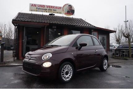 Fiat 500 Gebrauchtwagen