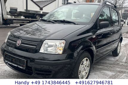 Fiat Panda Gebrauchtwagen