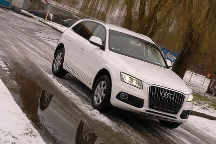 Audi Q5 Gebrauchtwagen
