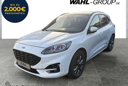 Ford Kuga Gebrauchtwagen