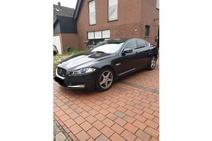 Jaguar XF Gebrauchtwagen