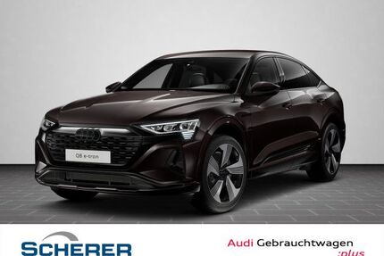Audi Q8 e-tron Gebrauchtwagen
