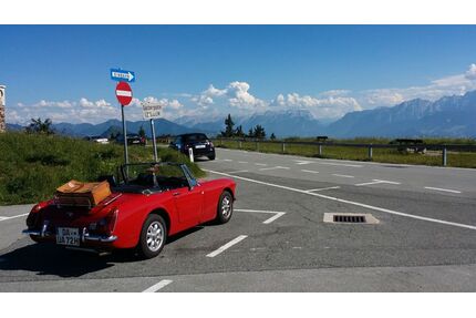 MG Midget Gebrauchtwagen