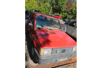 Fiat Panda Gebrauchtwagen