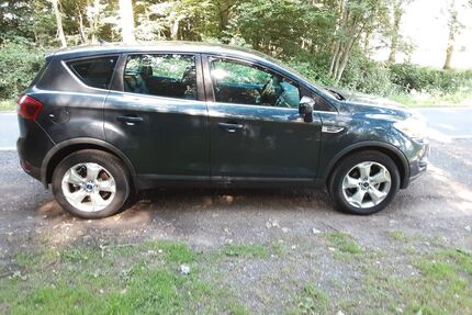 Ford Kuga Gebrauchtwagen