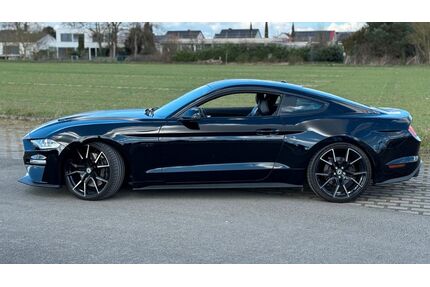 Ford Mustang Gebrauchtwagen