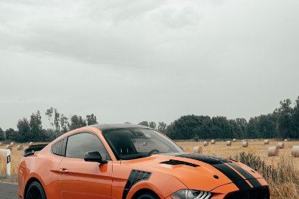 Ford Mustang Gebrauchtwagen