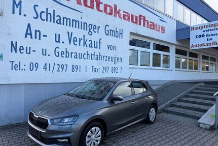 Skoda Fabia Gebrauchtwagen