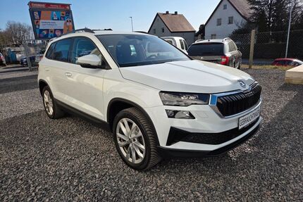 Skoda Karoq Gebrauchtwagen