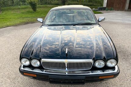 Jaguar Daimler Gebrauchtwagen