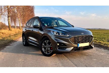 Ford Kuga Gebrauchtwagen