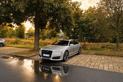 Audi S8 Gebrauchtwagen