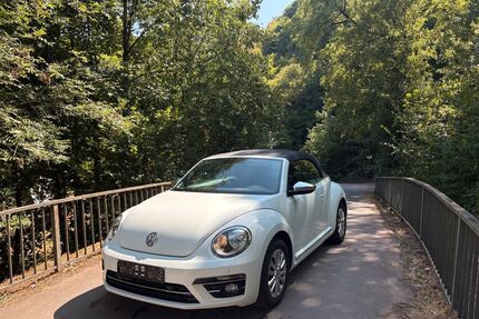 VW Beetle Gebrauchtwagen