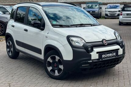 Fiat Panda Gebrauchtwagen
