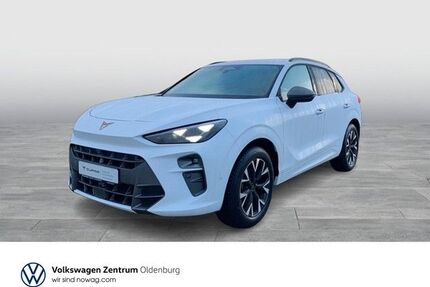 Cupra Terramar Gebrauchtwagen