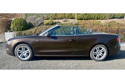 Audi A5 Gebrauchtwagen