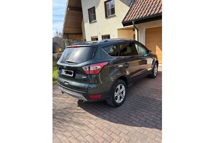 Ford Kuga Gebrauchtwagen