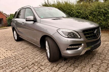 Mercedes-Benz ML 250 Gebrauchtwagen