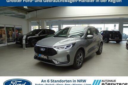 Ford Kuga Gebrauchtwagen
