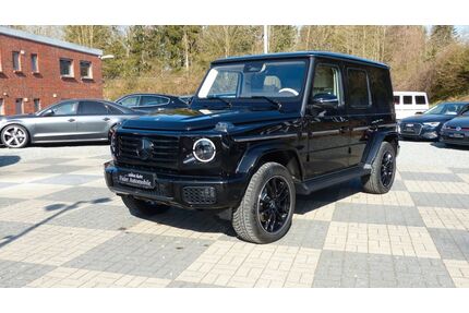 Mercedes-Benz G 450 Gebrauchtwagen