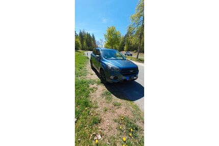 Ford Kuga Gebrauchtwagen