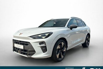 Cupra Terramar Gebrauchtwagen