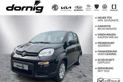 Fiat Panda Gebrauchtwagen