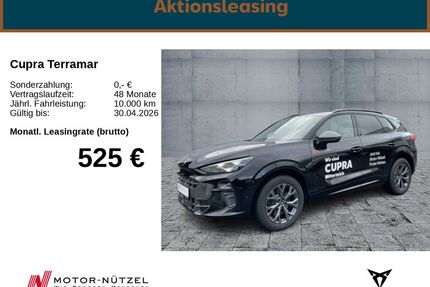Cupra Terramar Gebrauchtwagen