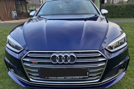 Audi S5 Gebrauchtwagen