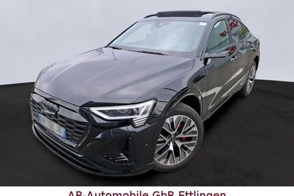 Audi Q8 e-tron Gebrauchtwagen