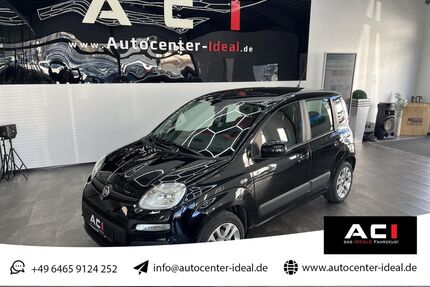Fiat Panda Gebrauchtwagen