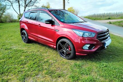 Ford Kuga Gebrauchtwagen