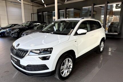 Skoda Karoq Gebrauchtwagen