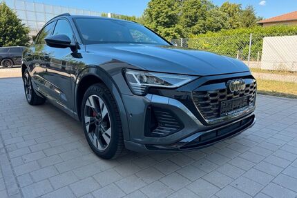 Audi Q8 e-tron Gebrauchtwagen